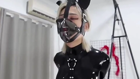 Latex Dog